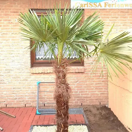 Carissa - Mit Thermeplus Appartement Bad Bevensen